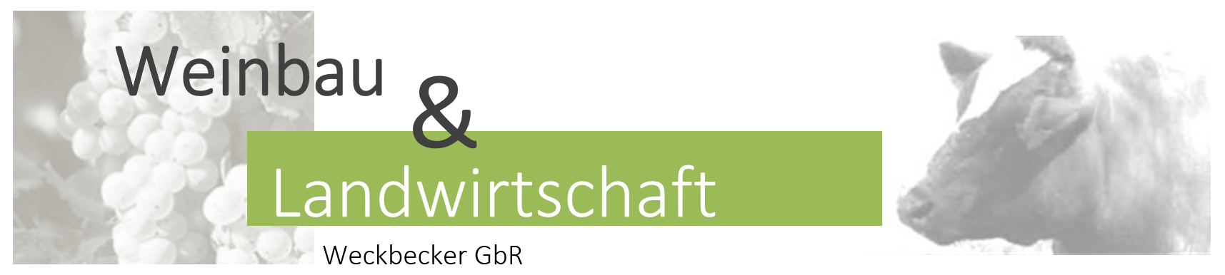 Weinbau & Landwirtschaft Weckbecker GdR